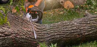 Best Lawn Watering Services  in Centerville, GA
